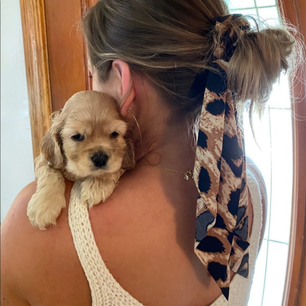 | leopard pony hair scrunchie scarf |